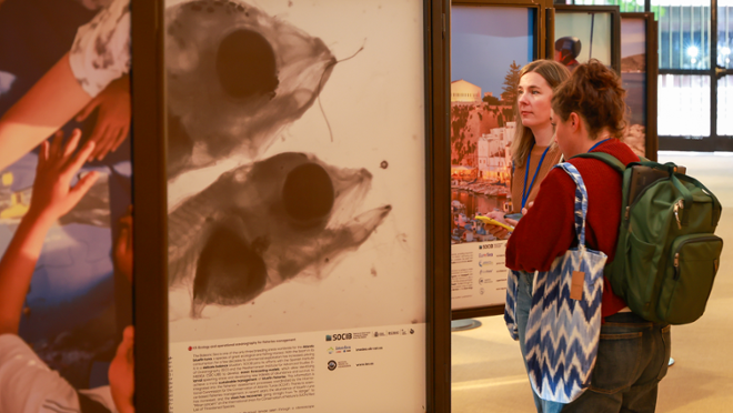 X Congrés de Comunicació Social de la Ciència (CCSC2025) - Foto: A.Costa/UIB